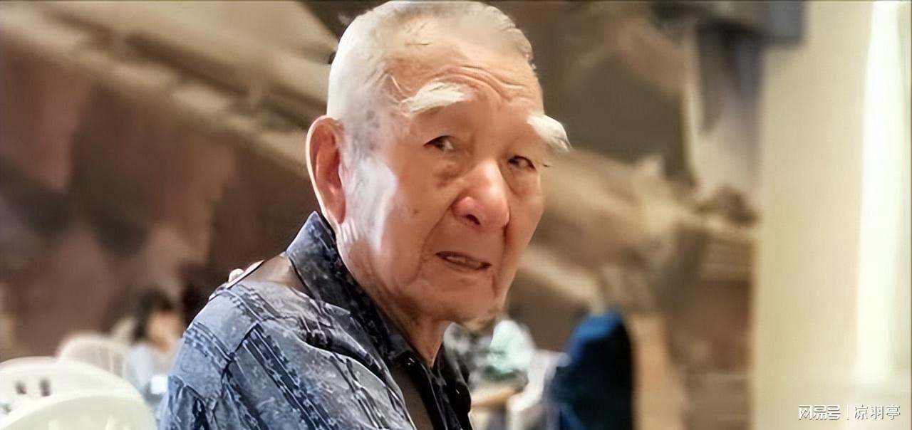 台湾92岁老兵回重庆祭祖，下飞机后却怒道：这不还是台北吗？